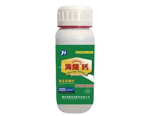 蜜桃综合视频在线观看鈣