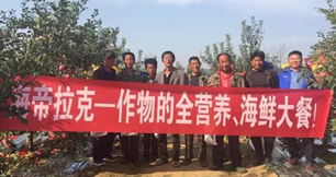 蘋果樹12月管理技術要點！抓緊時間看